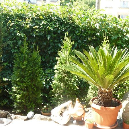 Guesthouse Geto Belogradchik Εξωτερικό φωτογραφία