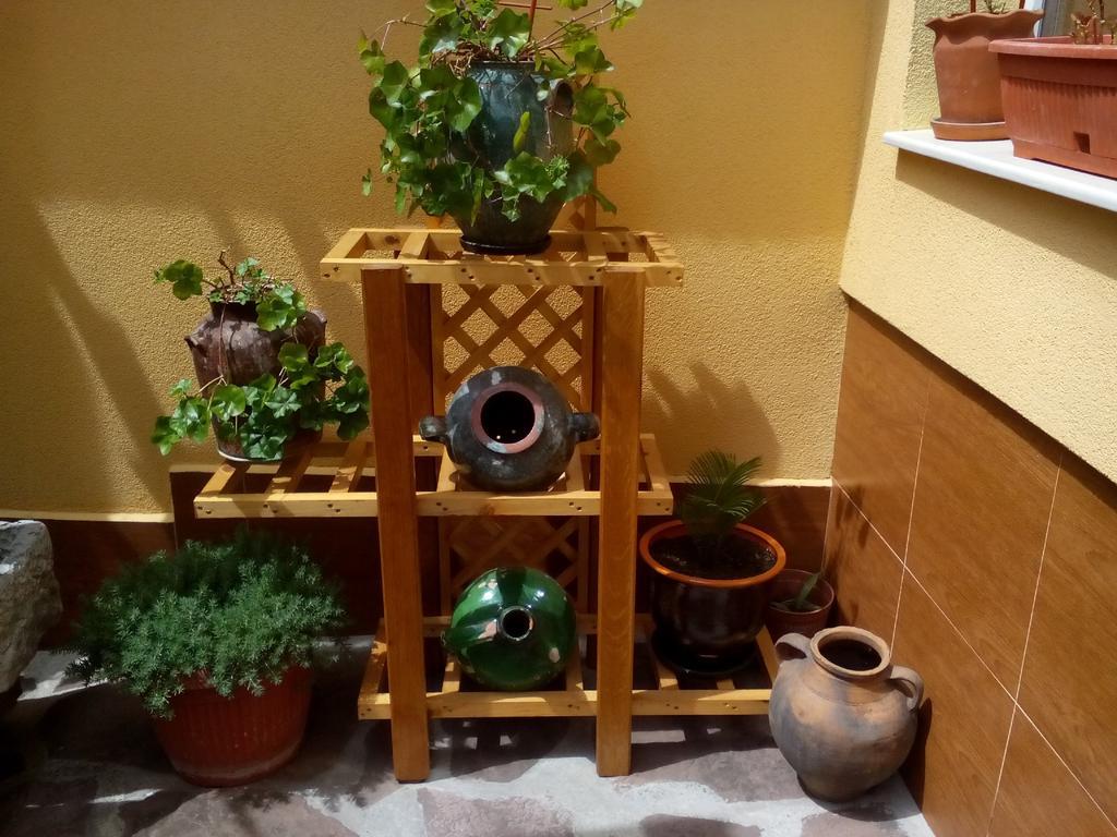 Guesthouse Geto Belogradchik Εξωτερικό φωτογραφία